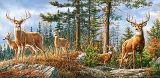Obrázek z Puzzle 4000 dílků jeleni 